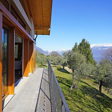 In Uliveto Vista - Leccino