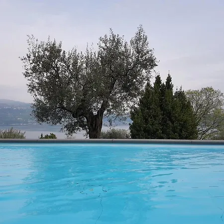 In Uliveto Vista - Leccino Villa